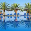 Zwembad Blue Dolphin – Chalkidiki Zwembad Blue Dolphin – Chalkidiki