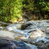 Jungle Koh Samui – Thailand Jungle Koh Samui – Thailand